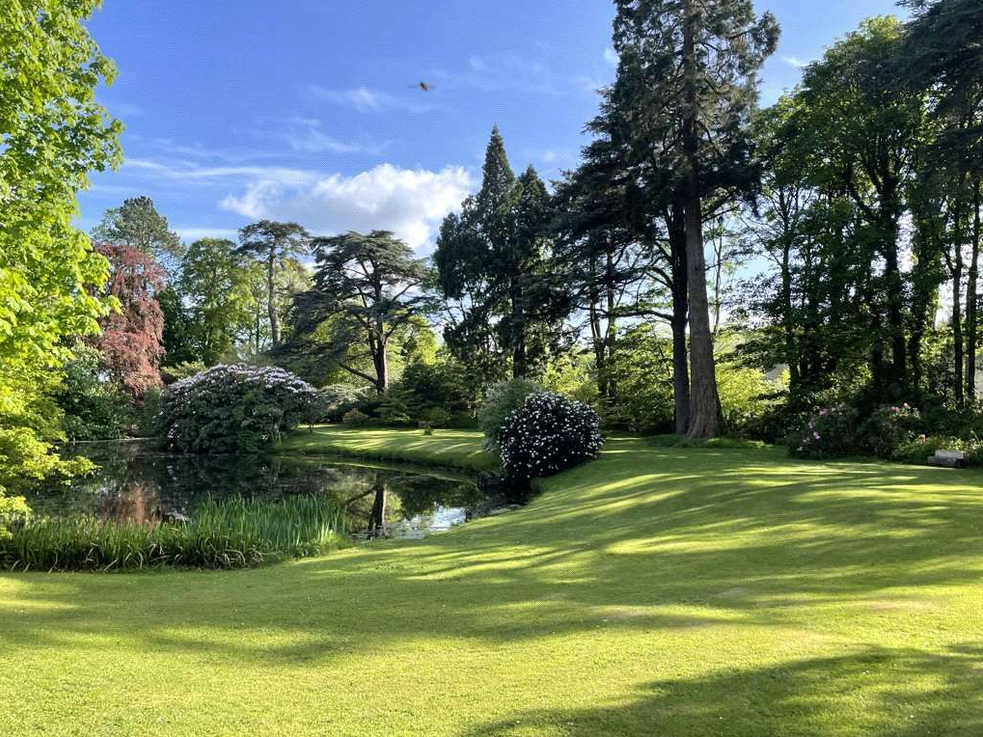 Elmfield Estate Gallery Image