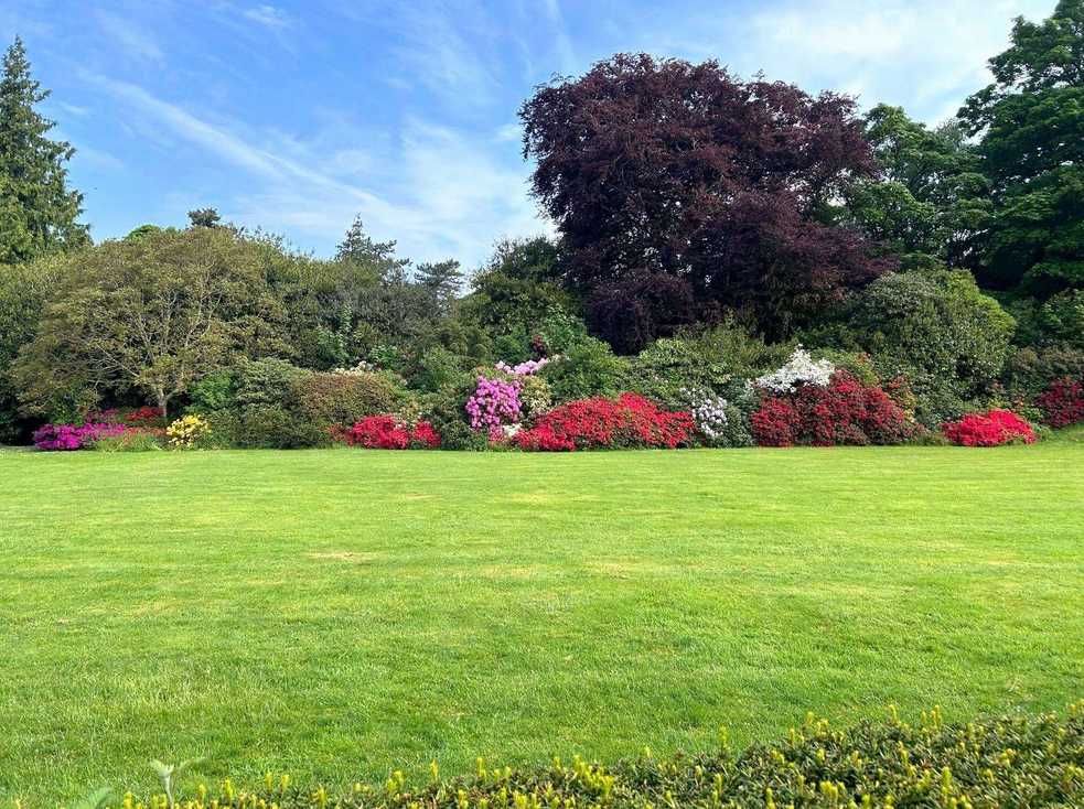 Elmfield Estate Gallery Image
