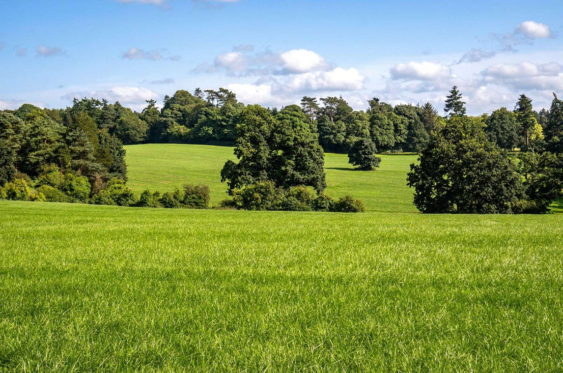 Elmfield Estate Gallery Image